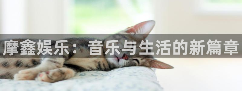 卧龙娱乐体育注册登录入口：摩鑫娱乐：音乐与生活的新篇章