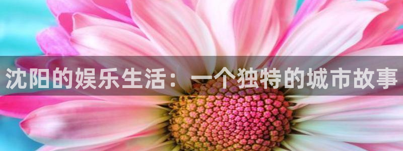 卧龙娱乐f平台注册：沈阳的娱乐生活：一个独特的城市故事
