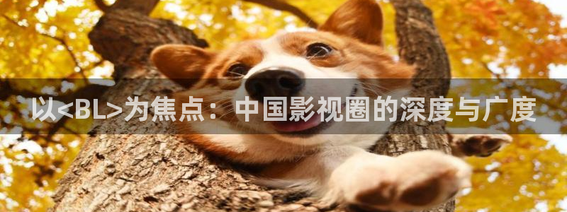 卧龙娱乐体育凯捷代理注册：以<BL>为焦点：中国影视圈的深度与广度