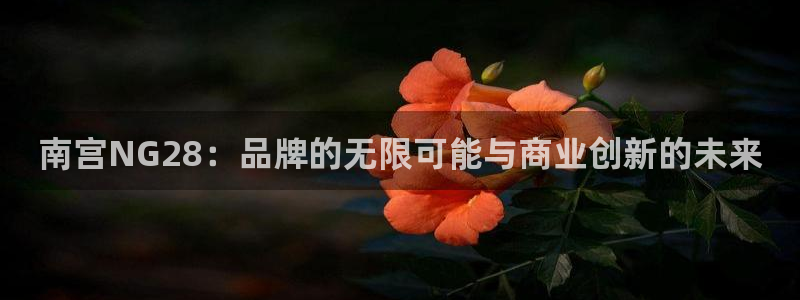 卧龙娱乐3登陆：南宫NG28：品牌的无限可能与商业创新的未来
