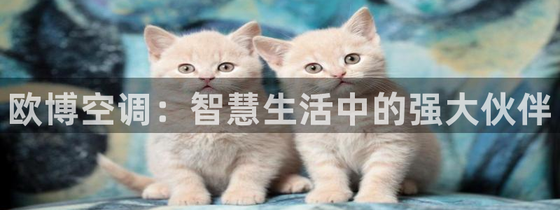卧龙娱乐体育注册代理：欧博空调：智慧生活中的强大伙伴