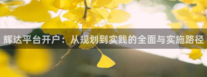 卧龙娱乐游戏有哪些好玩的：辉达平台开户：从规划到实践的全面与实施路径