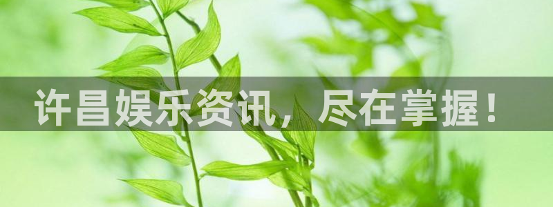 卧龙娱乐3官网：许昌娱乐资讯，尽在掌握！