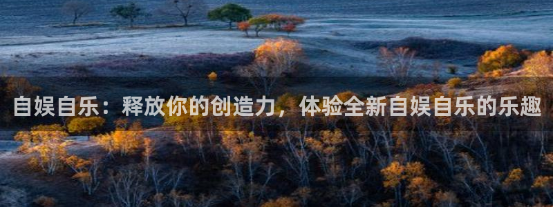 卧龙娱乐2注册：自娱自乐：释放你的创造力，体验全新自娱自乐的乐趣