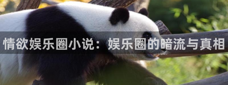 卧龙娱乐4开户：情欲娱乐圈小说：娱乐圈的暗流与真相