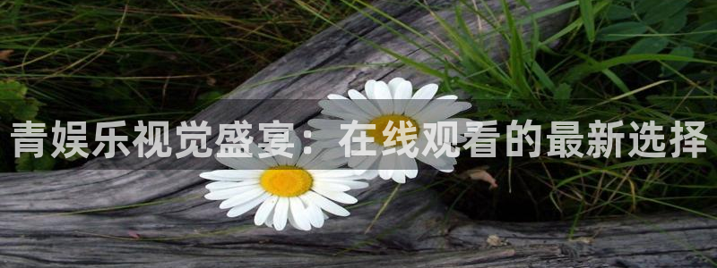 卧龙娱乐体育合法嘛：青娱乐视觉盛宴：在线观看的最新选择