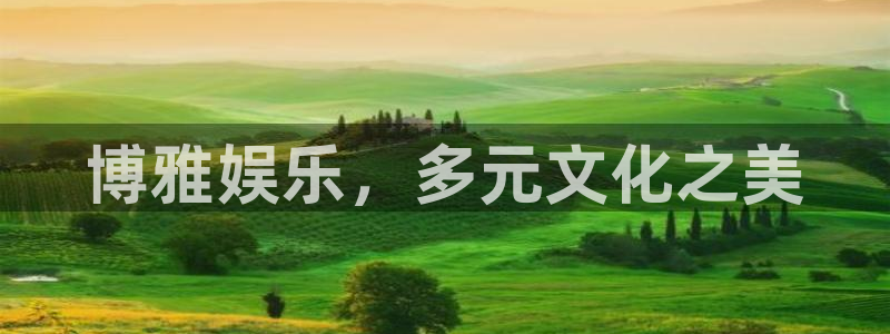 卧龙娱乐4登录：博雅娱乐，多元文化之美