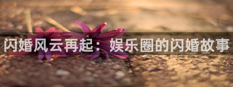 卧龙娱乐平台在线注册：闪婚风云再起：娱乐圈的闪婚故事