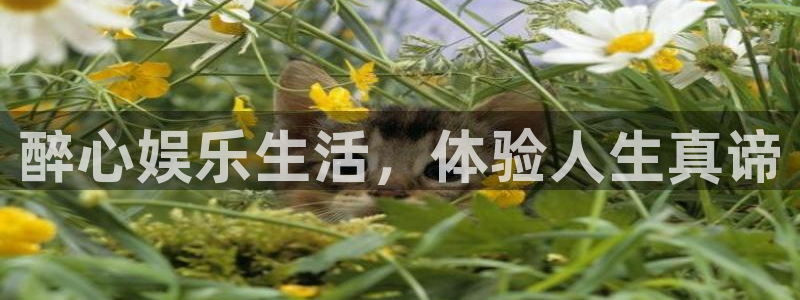 卧龙娱乐平台开户链接：醉心娱乐生活，体验人生真谛