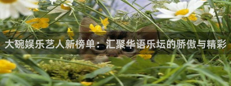 卧龙娱乐注册：大碗娱乐艺人新榜单：汇聚华语乐坛的骄傲与精彩