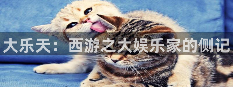 卧龙娱乐体育凯捷平台注册：大乐天：西游之大娱乐家的侧记