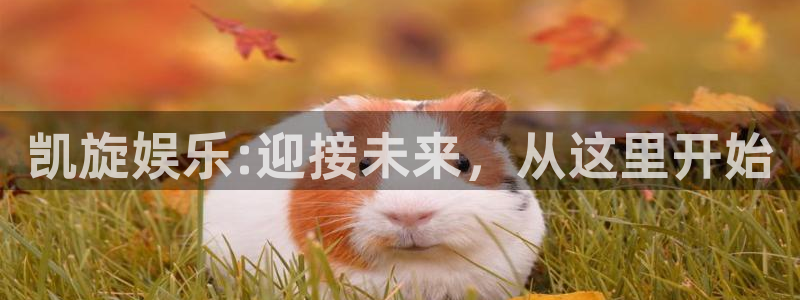 卧龙娱乐体育代理：凯旋娱乐:迎接未来，从这里开始