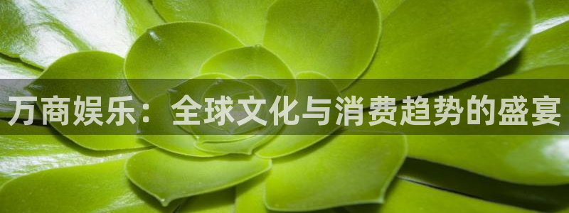 卧龙娱乐体育1招商：万商娱乐：全球文化与消费趋势的盛宴