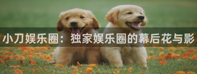 佛山市南海卧龙娱乐机电仪器有限公司：小刀娱乐圈：独家娱乐圈的幕后花与影