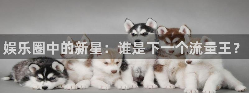 卧龙娱乐平台注册入口：娱乐圈中的新星：谁是下一个流量王？