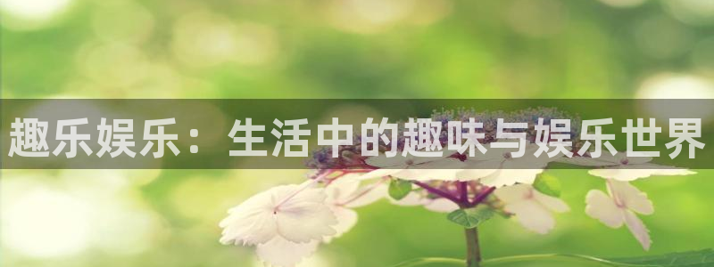 卧龙娱乐体育官网登录：趣乐娱乐：生活中的趣味与娱乐世界