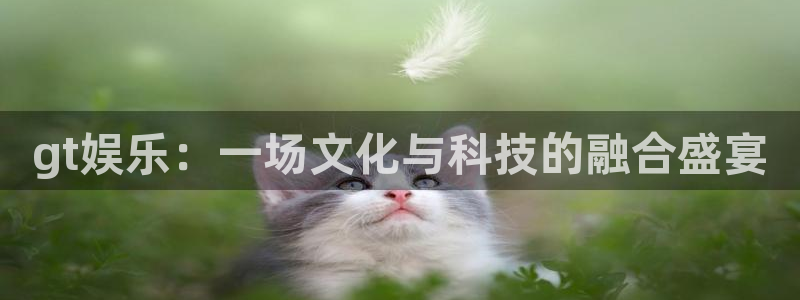 卧龙娱乐注册：gt娱乐：一场文化与科技的融合盛宴