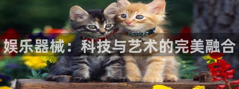 卧龙娱乐体育代理：娱乐器械：科技与艺术的完美融合