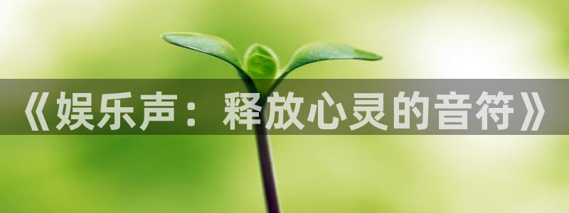 卧龙娱乐主管：《娱乐声：释放心灵的音符》