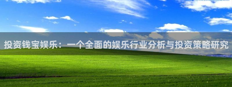 上海卧龙娱乐汽车电子有限公司：投资钱宝娱乐：一个全面的娱乐行业分析与投资策略研究