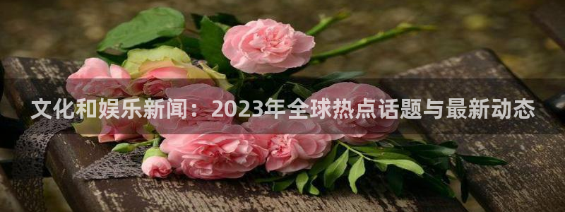 卧龙娱乐3平台登录注册：文化和娱乐新闻：2023年全球热点话题与最新动态