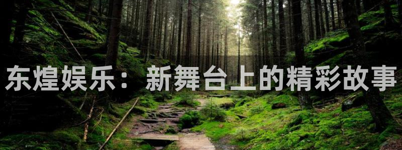卧龙娱乐平台开户链接：东煌娱乐：新舞台上的精彩故事