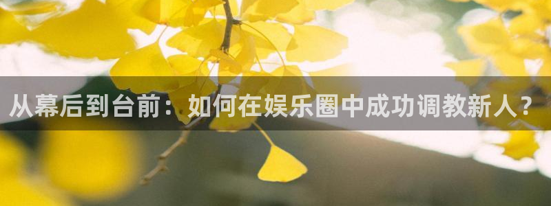 卧龙娱乐招商：从幕后到台前：如何在娱乐圈中成功调教新人？