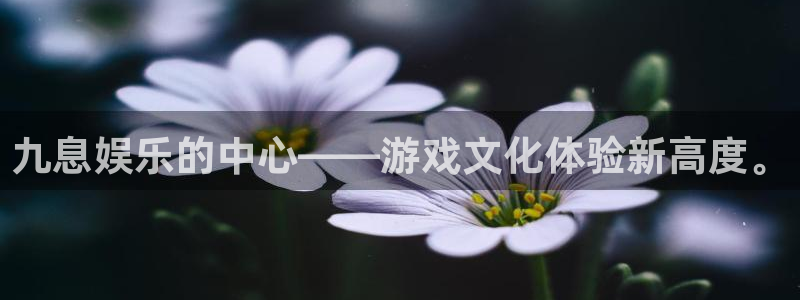 卧龙娱乐2官网