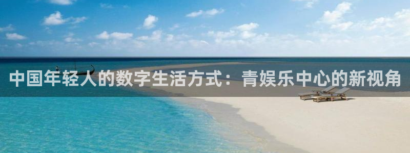 卧龙娱乐k：中国年轻人的数字生活方式：青娱乐中心的新视角
