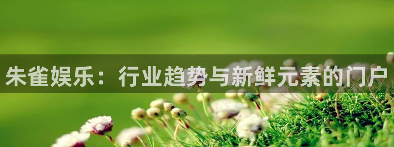 卧龙娱乐体育2官网入口