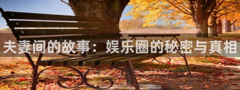 卧龙娱乐凯捷平台：夫妻间的故事：娱乐圈的秘密与真相