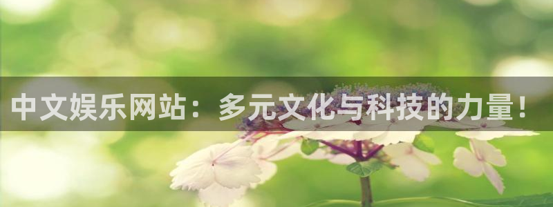 卧龙娱乐登录界面入口：中文娱乐网站：多元文化与科技的力量！