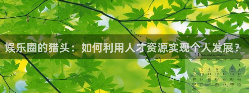 卧龙娱乐体育官网登录：娱乐圈的猎头：如何利用人才资源实现个人发展？